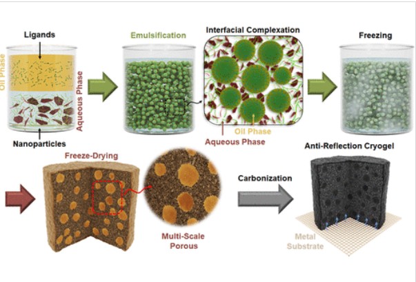 1760043073_Lignocellulosic Interfacially Complexed Cryogels as Robust Electromagnetic Wave Dissipators.jpg